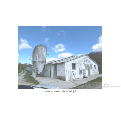 LOTTO UNICO: CAPANNONI FABBRICATI E TERRENI